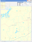 Palo Pinto County, TX Digital Map Basic Style